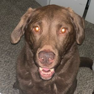 Meet your Posher, Renee